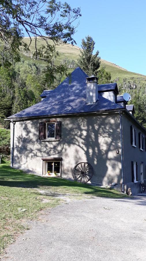 Appartement Habas Estaing Hautes Pyrenees Val D'Azun Eksteriør billede
