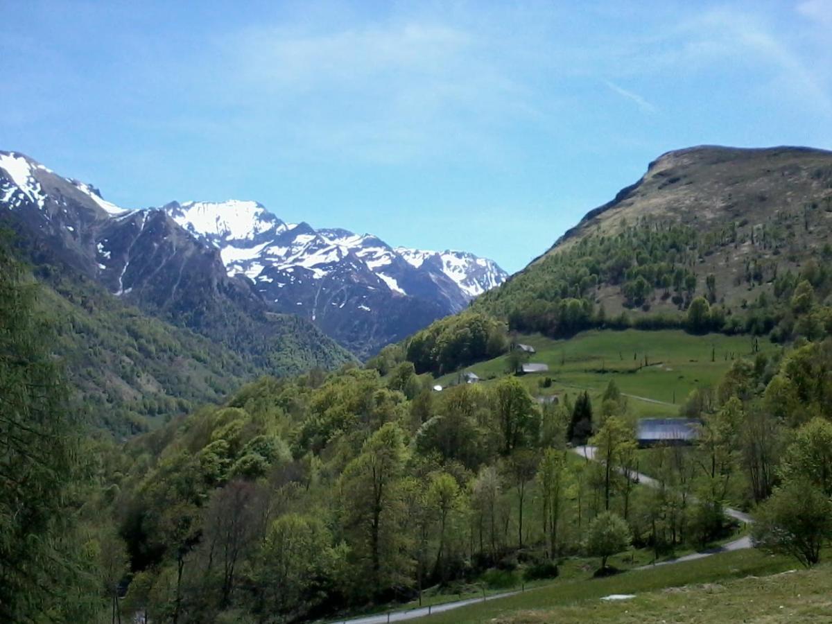Appartement Habas Estaing Hautes Pyrenees Val D'Azun Eksteriør billede