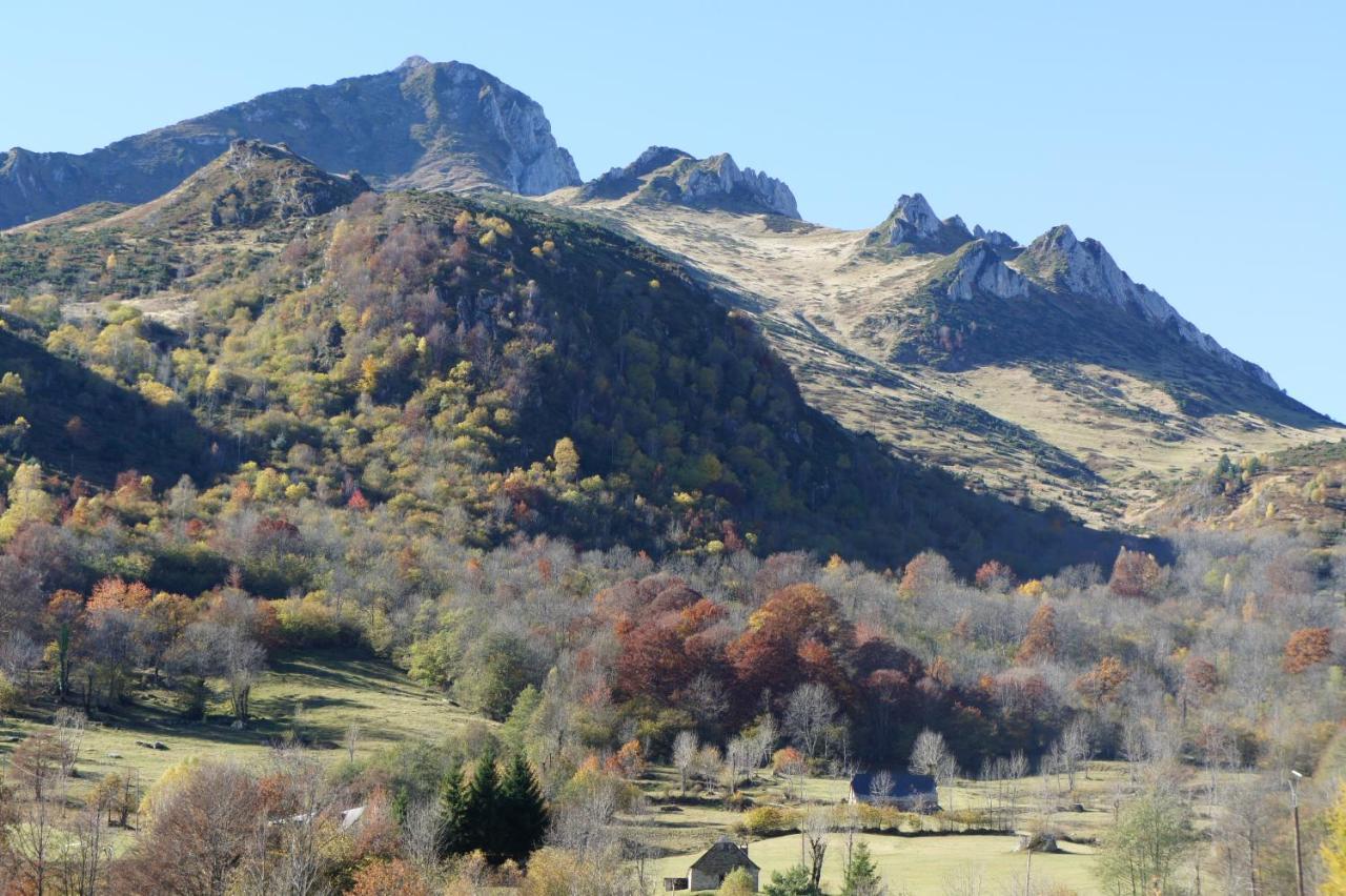 Appartement Habas Estaing Hautes Pyrenees Val D'Azun Eksteriør billede