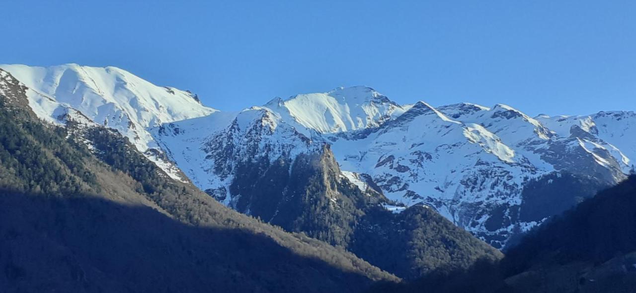 Appartement Habas Estaing Hautes Pyrenees Val D'Azun Eksteriør billede