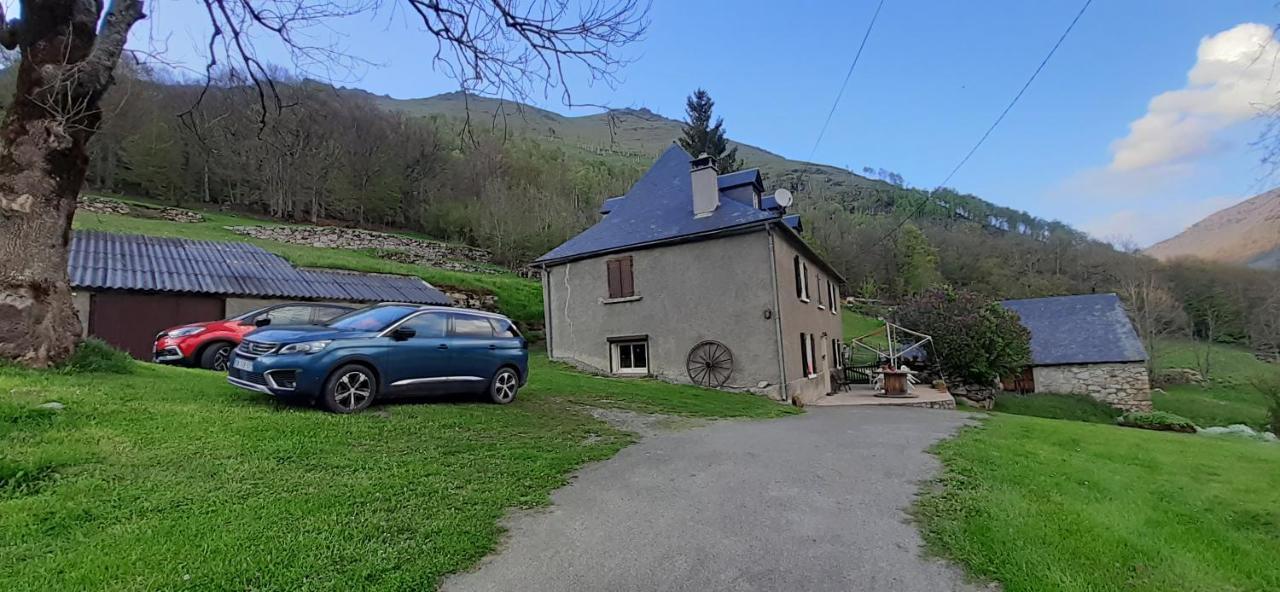 Appartement Habas Estaing Hautes Pyrenees Val D'Azun Eksteriør billede