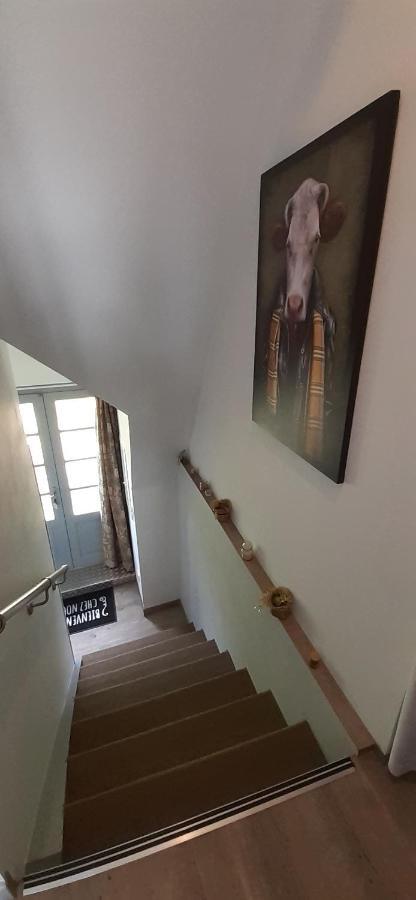 Appartement Habas Estaing Hautes Pyrenees Val D'Azun Eksteriør billede