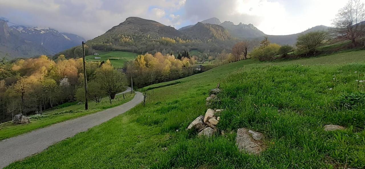 Appartement Habas Estaing Hautes Pyrenees Val D'Azun Eksteriør billede
