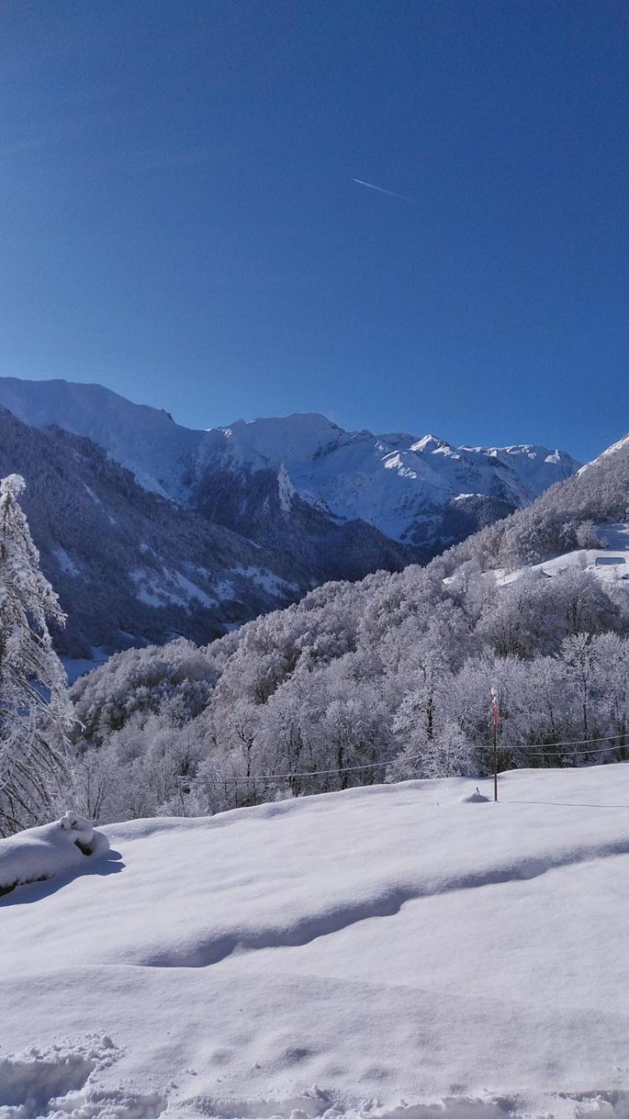 Appartement Habas Estaing Hautes Pyrenees Val D'Azun Eksteriør billede
